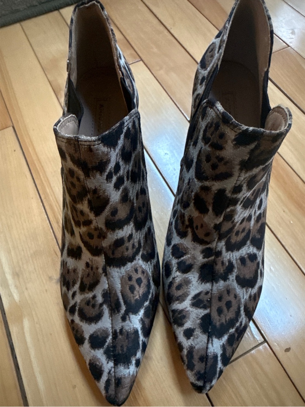 Maxinee Leopard Print Booties - Picture 4 of 7